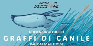 Il canile si fa bello con i graffiti dei migliori writers del territorio