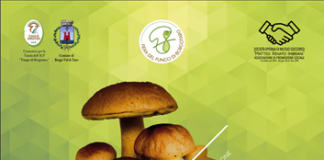 Prima Edizione del Concorso “Porcino in Cucina”