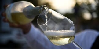 A Cesena il 12 luglio “100% Made in Romagna Wine”