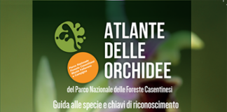 “Atlante delle orchidee” martedì 30 luglio la presentazione a Bagno di Romagna