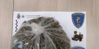 Polizia Locale, il cane Ares trova circa un chilo di stupefacente sotto un cassonetto