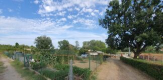 Approvvigionamento idrico: Geat realizzerà un attacco per autocisterna negli orti gestiti dagli anziani