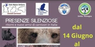 “Presenze silenziose”: a Ferrara prorogata la mostra su “Ritorni e nuovi arrivi di carnivori in Italia”