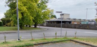 Progetto di cittadinanza attiva nel quartiere Molinetto per la cura di due piccole aree verdi situate in via Portofino e stradello Levanto
