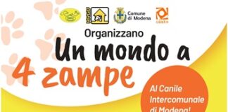 “Un mondo a 4 zampe” al canile di via Nonantolana