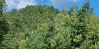 Ponte Secchia, riapre già stasera la Sp 19