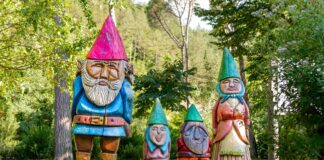 Il mondo fatato degli gnomi