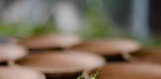 Bonfitaly protagonista di rilievo a Ecomondo 2024