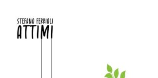 “Attimi”, nuovo singolo di Stefano Ferrioli