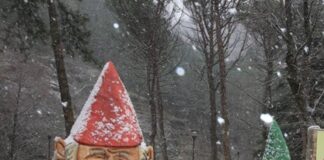 Il mondo fatato degli gnomi a Natale: visite guidate e laboratori a Bagno di Romagna (FOTO)