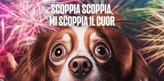 Botti, petardi e fuochi d’artificio il richiamo del Comune all’osservanza del regolamento di Polizia Urbana