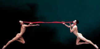 Danza, “NoGravity” cerca nuovi talenti: audizioni a Ferrara per il prossimo tour