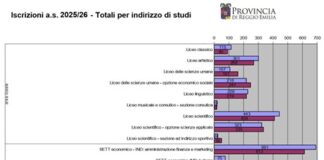 Iscrizioni in calo ai tecnici, crescono licei e professionali
