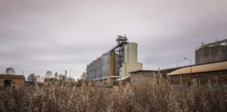 Architettura e Industria: IF Festival ripensa gli spazi industriali