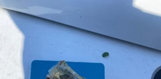 Controlli della Polizia locale, sequestrato panetto di hashish