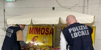 Giornata internazionale della donna, diversi sequestri a carico di venditori abusivi di mimose e altri fiori