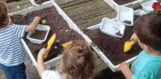 Servizi educativi 0-6 anni del Comune di Ferrara: pubblicate le assegnazioni dei posti per l’anno 2025-2026