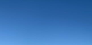 Misure a tutela del fratino, delimitata l’area di nidificazione sulla spiaggia libera di Miramare e posizionati cartelli informativi sui divieti di accesso ai cani