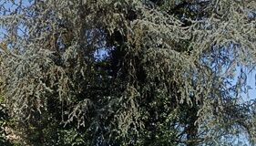 In via Boccaccio edificio sgomberato e chiusure ripristinate