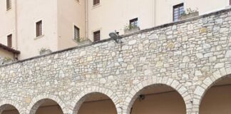 Santa Rita, la sindaca Tarasconi e le assessore Corvi e Fantini a Cascia per il gemellaggio e le celebrazioni
