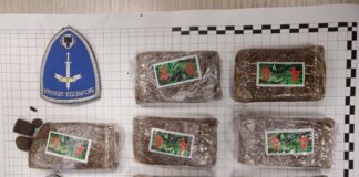 Il fiuto del cane Ares della Polizia Locale permette di rintracciare quasi sette etti di hashish
