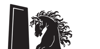 Nasce il nuovo Baracca Lugo