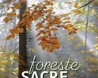 “Martedì d’autore sotto le stelle” il 5 agosto con “Foreste Sacre”