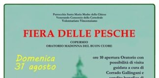 12 sagre, fiere e tradizioni