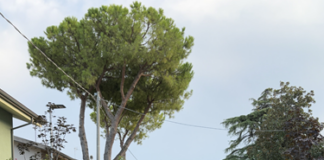 Cattolica inaugura la nuova Via del Giglio: più sicura, verde e accessibile