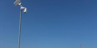 Nido di tartaruga al Marano