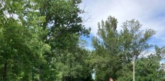 Provincia di Modena: Lama Mocogno, chiude la strada provinciale 28