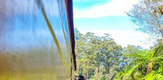 Gianluca Gotto con Le tre vie del benessere il 9 e 10 settembre a Bologna