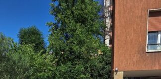 Ravone, conclusi i lavori di ripristino della copertura del torrente nelle vie Zoccoli e Montenero