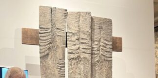 Premiazione Riconoscimento Fidapa 2024-2025 a Mirta Carroli