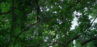 La rassegna Arcipelago di Suono prosegue venerdì 24, sabato 25 e domenica 26 ottobre