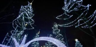 Il Quartiere Giardino si prepara per il Natale