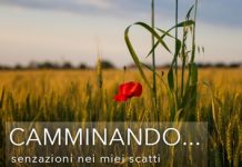 “Camminando…”. in mostra alla Bassani gli scatti fotografici di Paolo Marzola tra luci, colori e prospettive