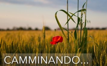 “Camminando…”. in mostra alla Bassani gli scatti fotografici di Paolo Marzola tra luci, colori e prospettive