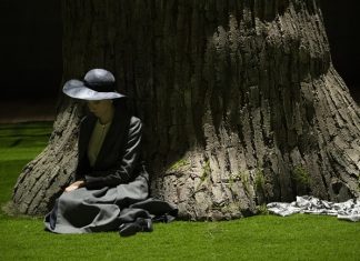 Anna Della Rosa in Orlando dal 26 febbraio al 1° marzo al Teatro Storchi di Modena