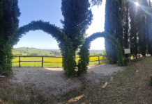 ‘CON-TATTI– Geografie del sentire’, a Villa Silvia Carducci la natura incontra la poesia (FOTO)