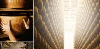 Le domeniche d’inverno hanno più gusto con le visite al caseificio