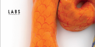 Il 7 febbraio, h 15: meet and greet con Dionysis Saraji – Labs Contemporary Art – Arte Fiera