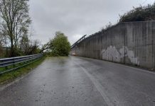 Maltempo a Cesena, i primi interventi della Polizia locale (FOTO)