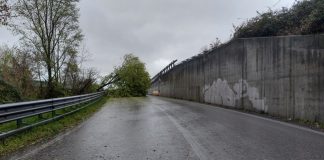Maltempo a Cesena, i primi interventi della Polizia locale (FOTO)