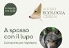 A spasso con il lupo, al Museo dell’Ecologia una serata speciale di informazione (FOTO)