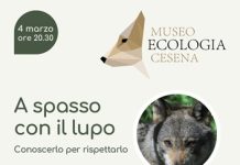 A spasso con il lupo, al Museo dell’Ecologia una serata speciale di informazione (FOTO)