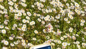 Online il nuovo sito Riccione.it: la destinazione turistica entra in una nuova era digitale