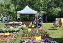 Il fiume Po palcoscenico di biodiversità nella XII edizione di Georgica