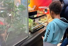 Alle Befane le meraviglie della scienza con PLANET