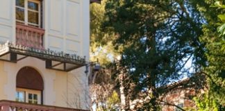 Oltre 50mila tulipani nel cuore di Riccione